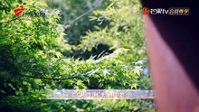 Tỏa sáng vì yêu Tập 20 - Shine for Love -为爱闪耀的她