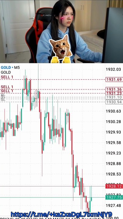 XAUUSD Major Rally