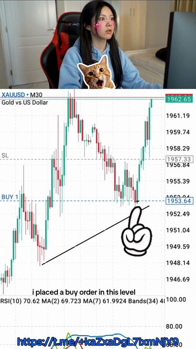 Daily Gold Trader Routine