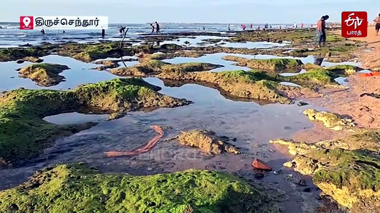 திடீரென 100 அடி உள்வாங்கிய திருச்செந்தூர் கடல்