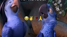 That Bird Voice Actor Is Bruno Mars, BTW 😭🐦🎤✨