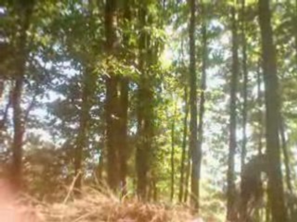 Nouveau spot en construction