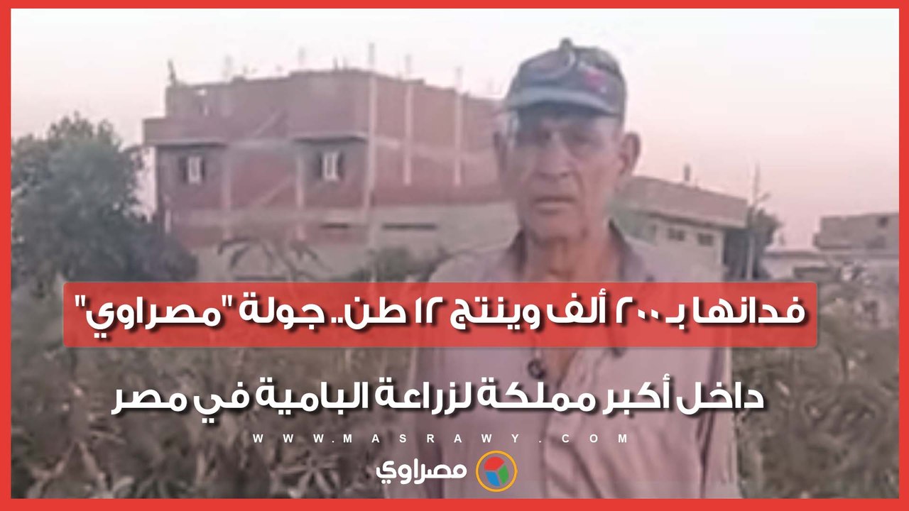 فدانها بـ 200 ألف وينتج 12 طن.. جولة "مصراوي" داخل أكبر مملكة لزراعة البامية في مصر