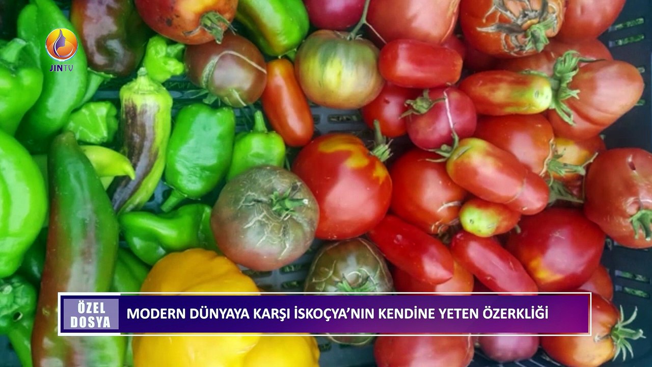 JIN TV |ÖZEL DOSYA-Modern dünyaya karşı İskoçya'nın kendine yeten özerkliği