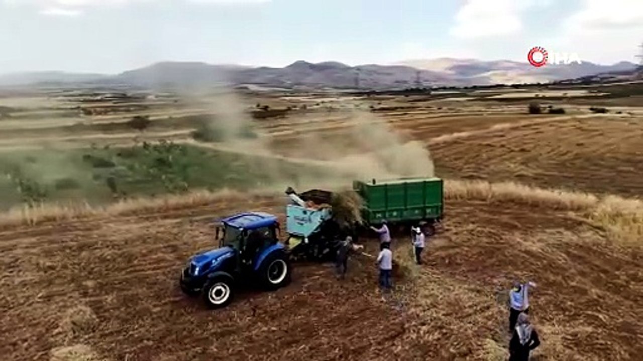 Gercüş'te çiftçiler sıcaklara meydan okuyor! Kavurucu havada 'oyun havalı' hasat