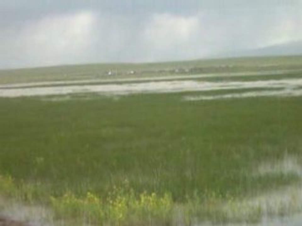 Yayla 9