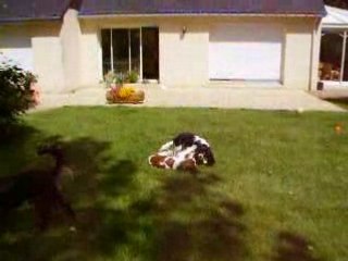 thé au jardin les petits