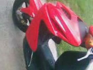 scoot