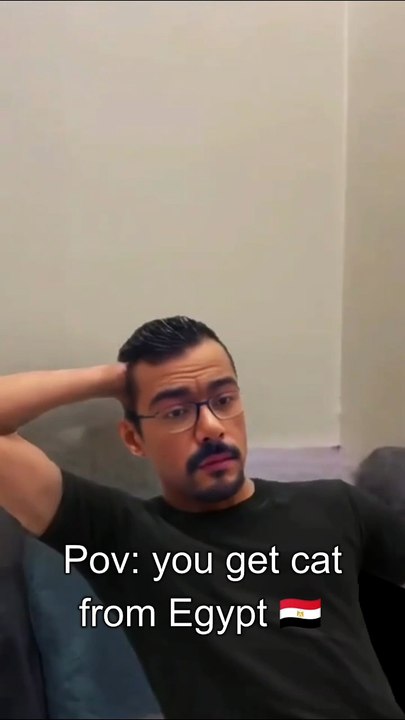 pov: you get cat from egypt 🇪🇬 • •