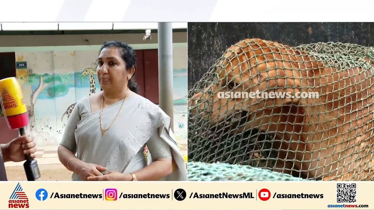 കുട്ടികൾക്കും അധ്യാപകർക്കും ആശ്വാസം, തെരുവ് നായകളെ ഒഴിപ്പിച്ചു; തൃശൂർ ചൂണ്ടൽ ഗവ.യുപി സ്കൂൾ തുറന്നു