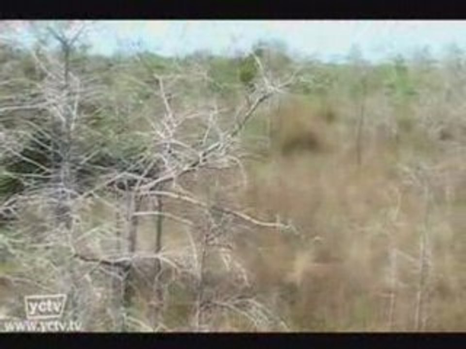 Everglades National Park