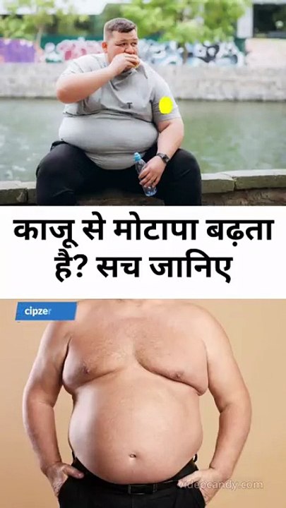 काजू से मोटापा बढ़ता है सच जानिए