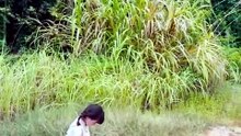 Daddy's Little Healer(Dubbed)   Serie Completa   Short Drama Español