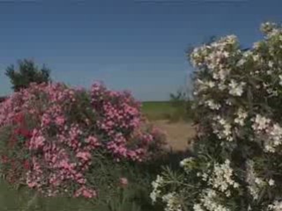 En routes libres au fil du Rhône 3