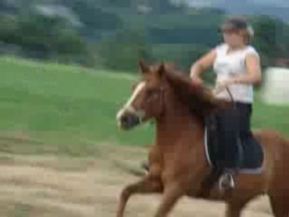elodie et opium galop ds le champs
