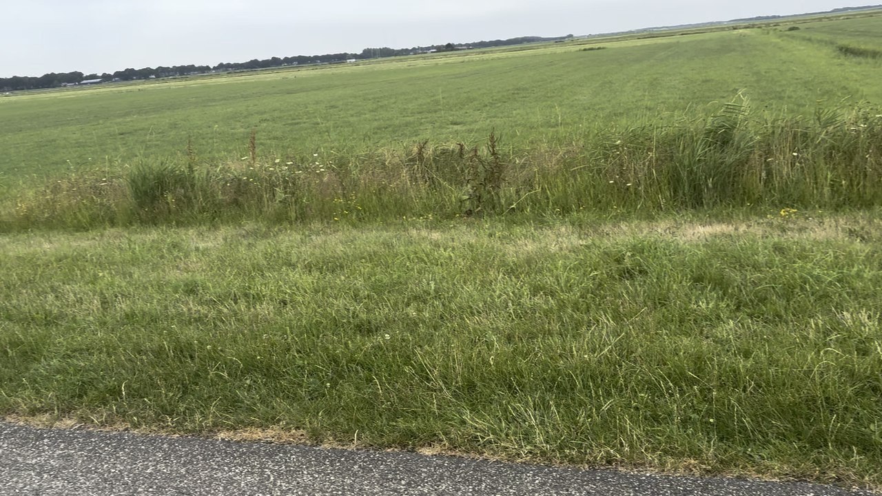 Les polders , immenses étendues d’herbes essentiellement.