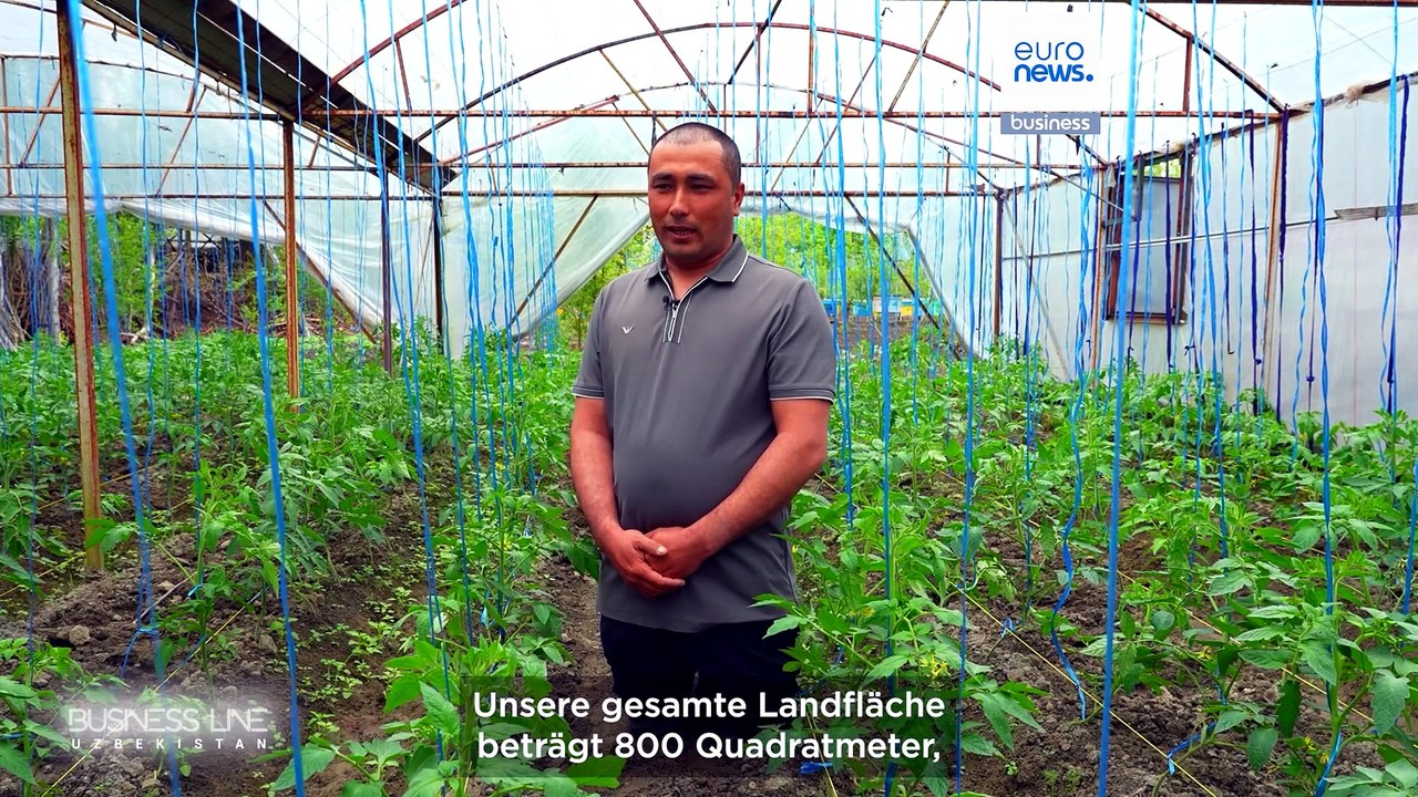 Gewächshäuser, Familienbetriebe: Unternehmertum verändert das Leben auf dem Land