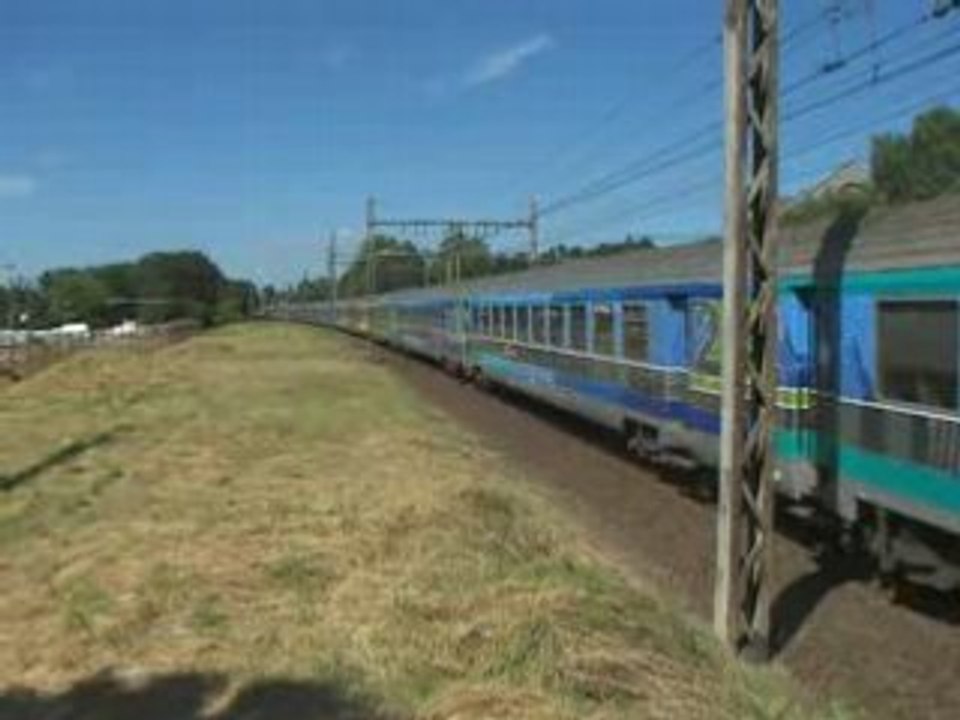 croisement entre un TEOZ et le FORD