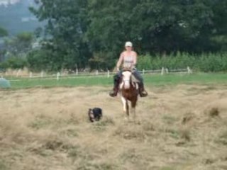 Travail sur le champs 2 ac magnum