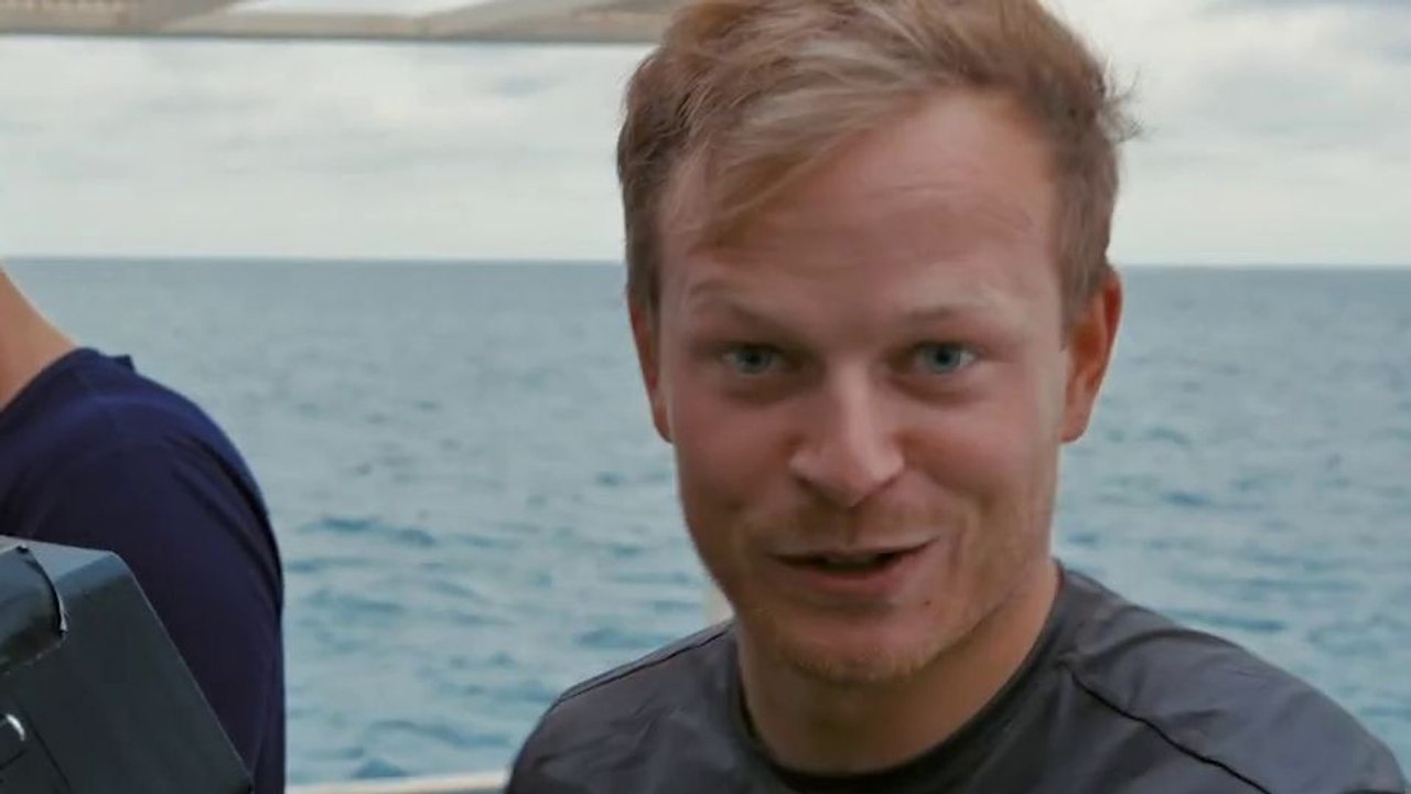 Hammerhead Sharks Up Close with Bertie Gregory Trailer OV