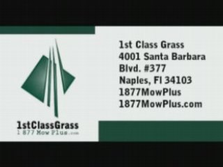 (239) 465-4752 Lawn Service Naples  Lawn Maintenance ...