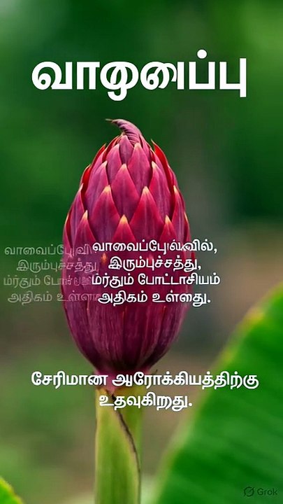 Banana flower benefits