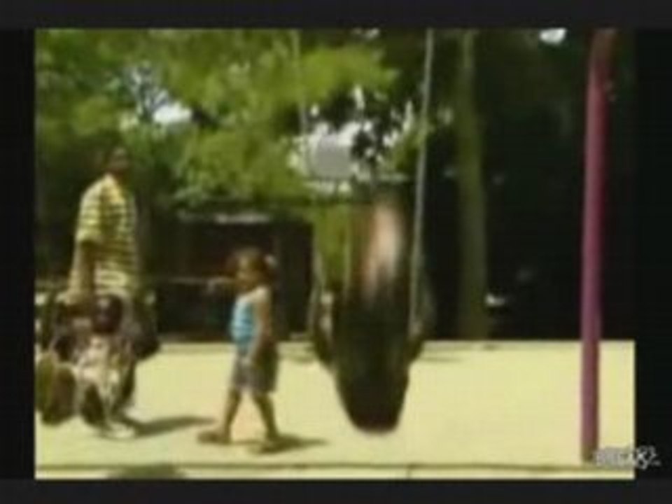 Little Girl Owned By Swing