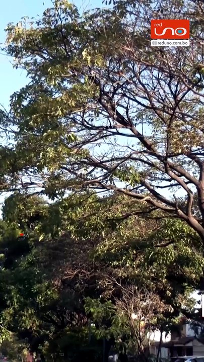 ¡Tome sus precauciones! Un frente frío ingresará a Santa Cruz desde este miércoles