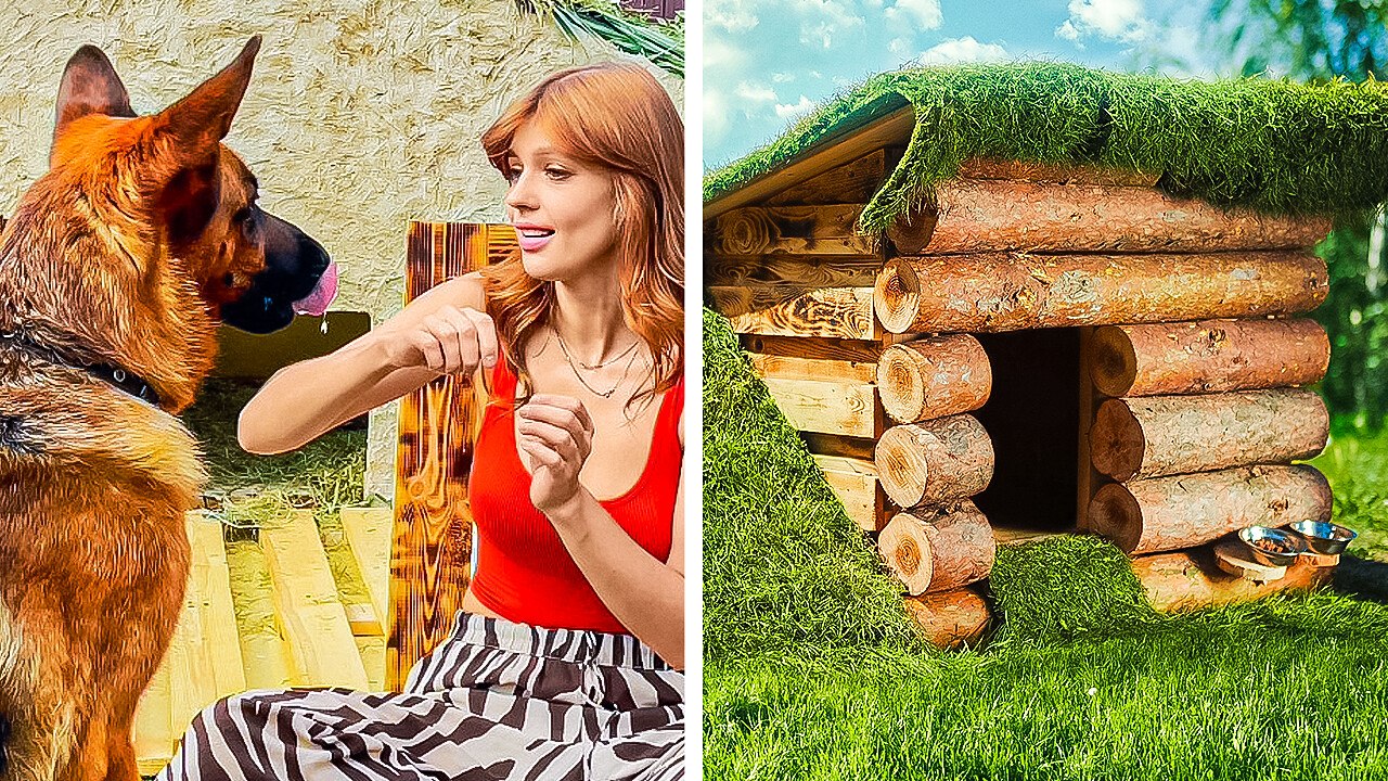 Creative Outdoor Dog House Ideas