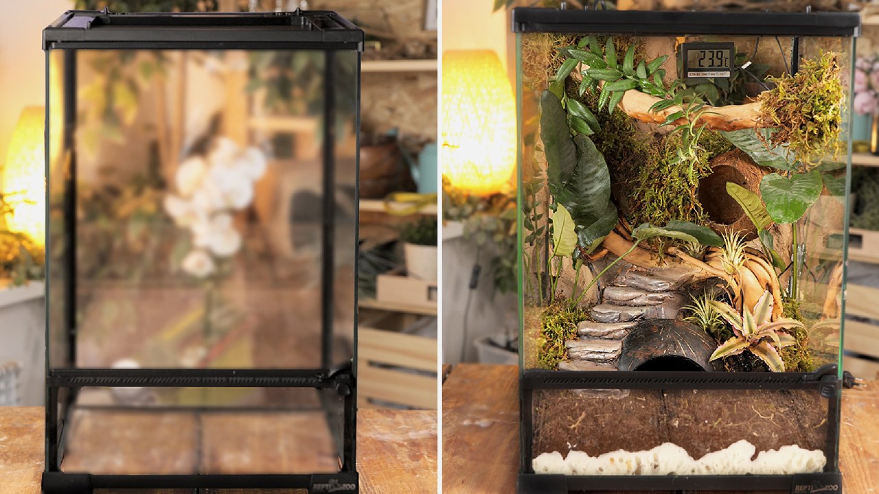 Charming DIY Homes for Your Unique Pets