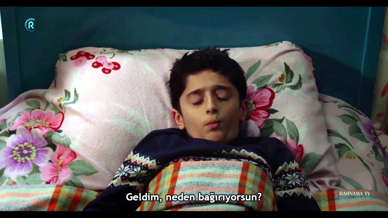 Ansızın Ağaç