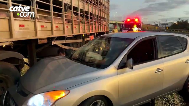 Carro bate em caminhão carregado com porcos na PRC-467, em Cascavel