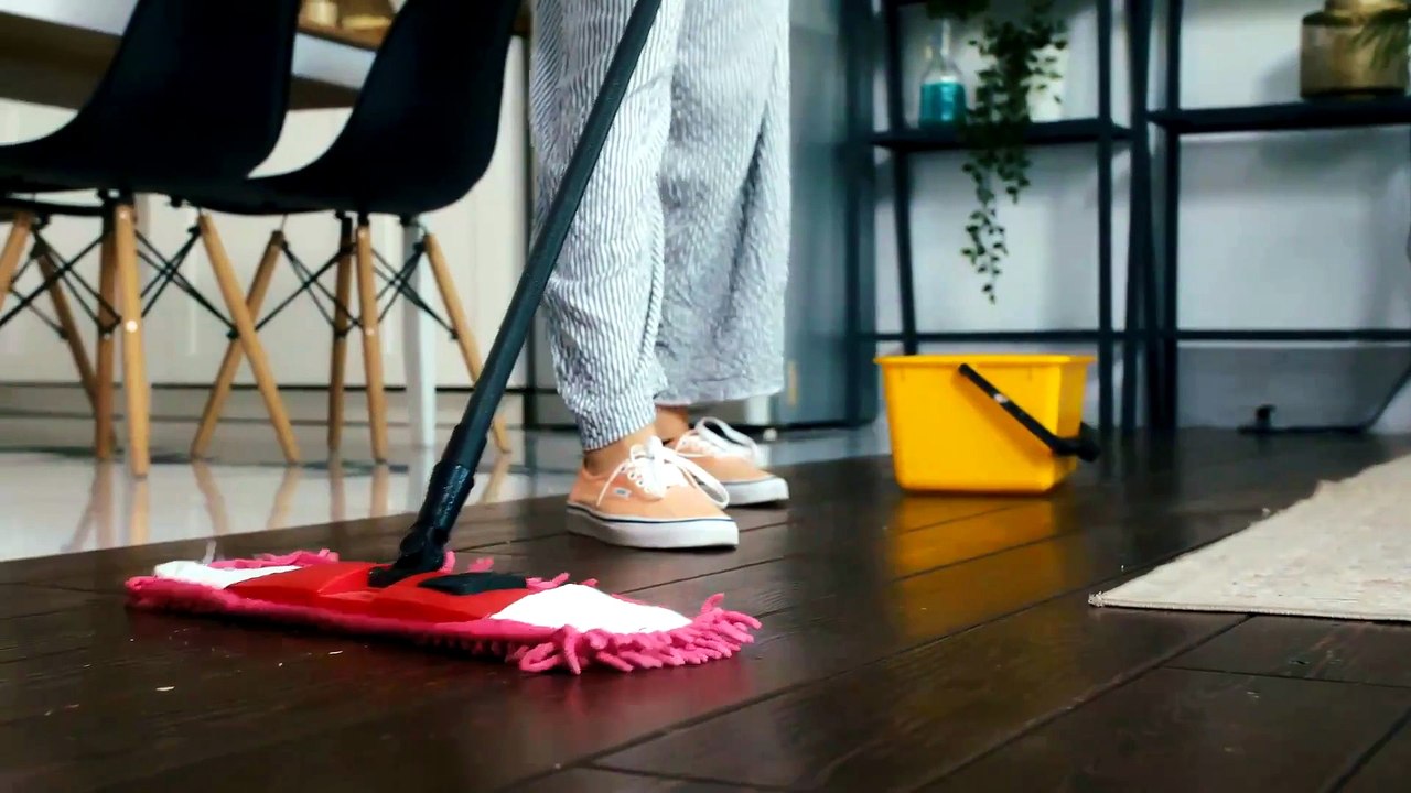 Filter Queen Majestic Surface Cleaner Review