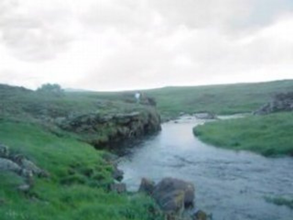 BASGEDIKLILER 2008 24