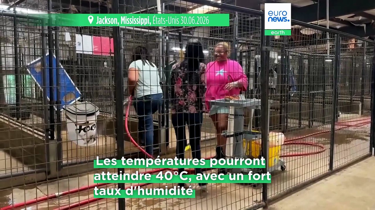 États-Unis : une vague de chaleur extrême attendue pour le week-end du 4 juillet