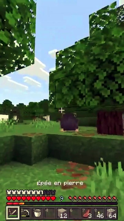 Rats contre Loups, QUI GAGNE ? #minecraft #bedr...