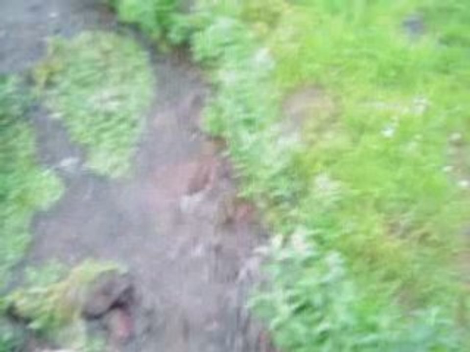 BASGEDIKLILER 2008 21