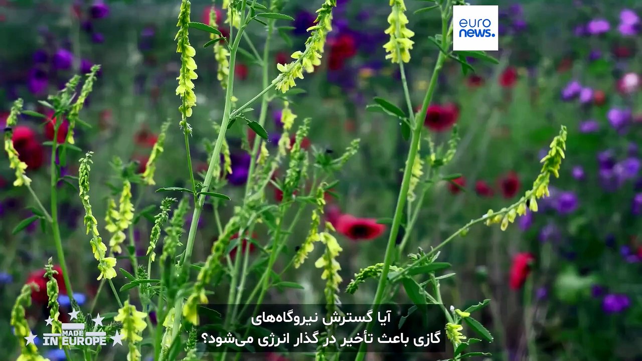 نجات زمین‌های کشاورزی اروپا: اگری‌پی‌وی راه استفاده پایدار از پنل‌های خورشیدی
