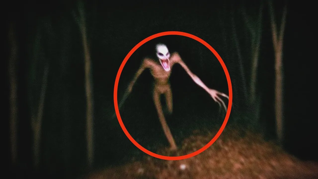 15 videos aterradores en el bosque que parecen salidos de tus peores pesadillas