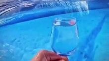 Curiosidades da antartida