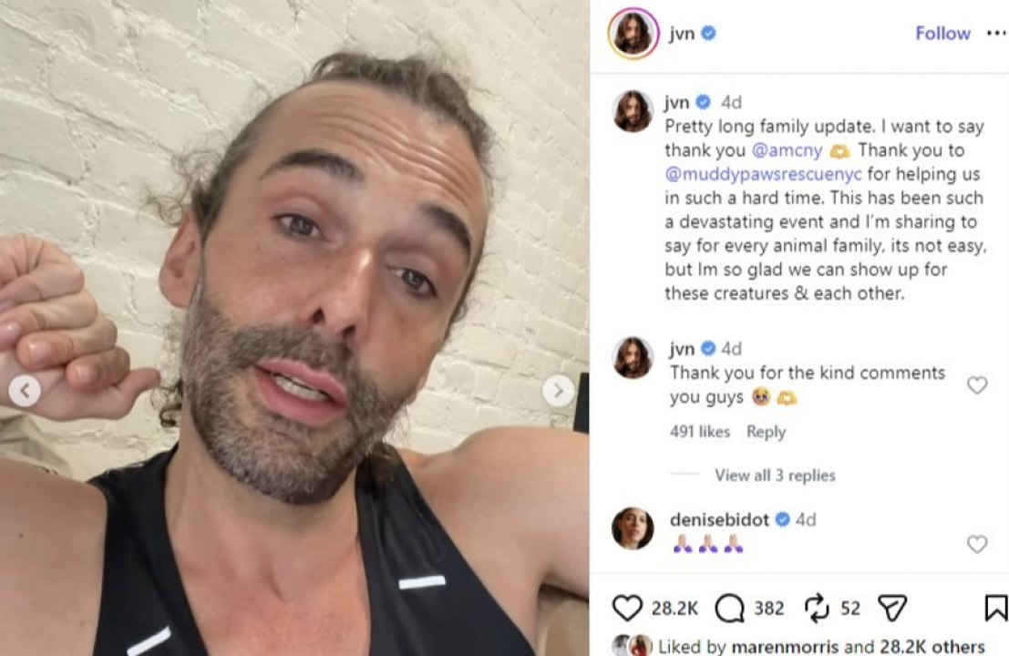 Jonathan van ness muss hund abgeben nach angriff auf katze