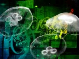 Space Invaders Extreme