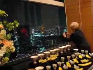 Tokyo's panorama by night - behing the window