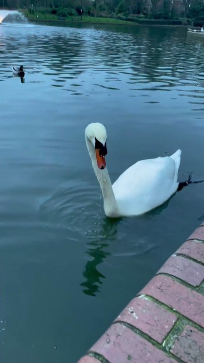 Bonnie & Ash Perform Their Adorable "Thank You" Dance Before Breakfast