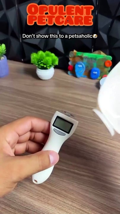 Electronic Weighing Spoon for Pet Food