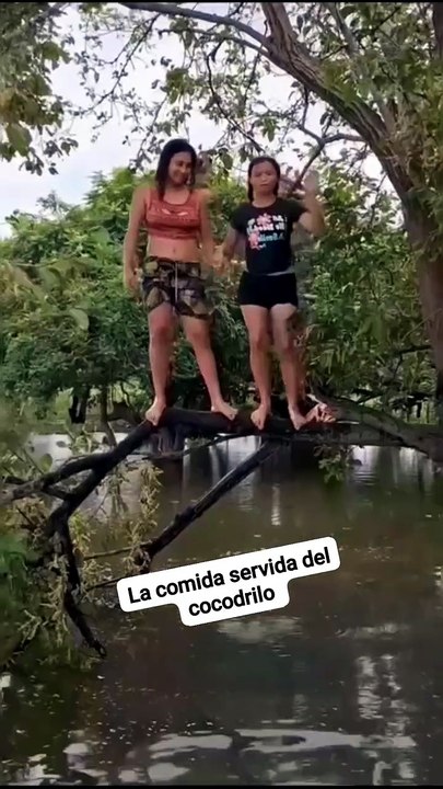 El drilococo