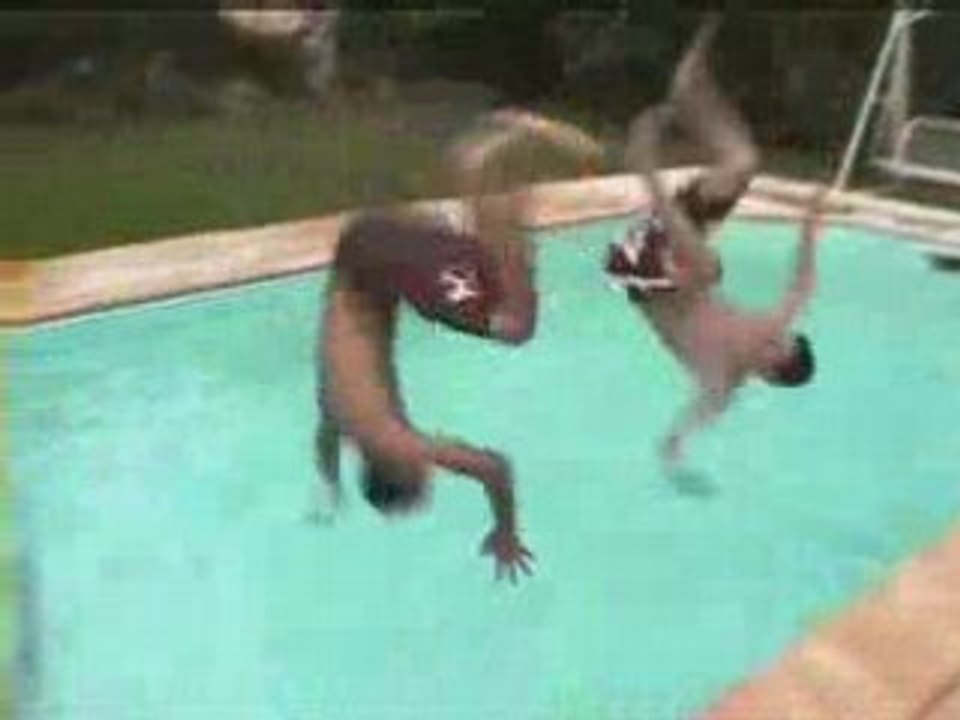 LE Guide (indispensable) du vacancier polowoodien