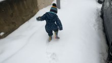 Hilarious Dad Pranks His Sons, Erupts in Laughter as They Fall
