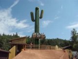 Cactus Fraispertuis City 1