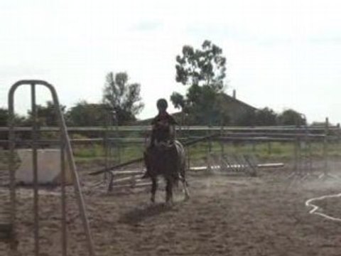 jupi et moi a cru et licol cso